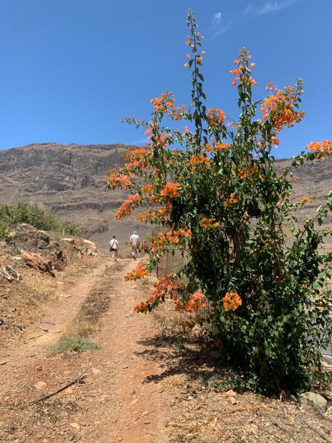 San Bartolomé Hotel Masai Mara Resort Gran Canaria מראה חיצוני תמונה
